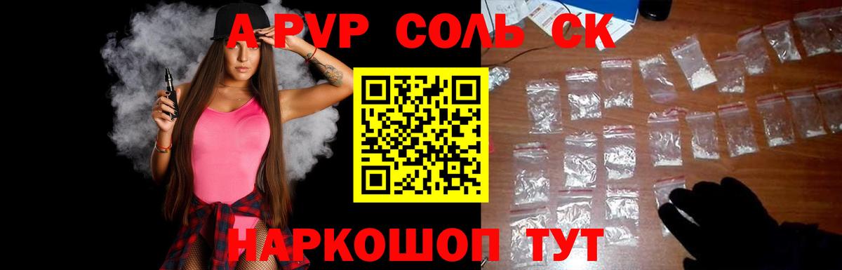 Alfa_PVP СК КРИС Урус-Мартан