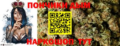 PSILOCYBIN Новодвинск