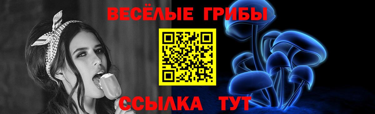 Урус-Мартан  Псилоцибиновые грибы прущие грибы  Вход с VPN 