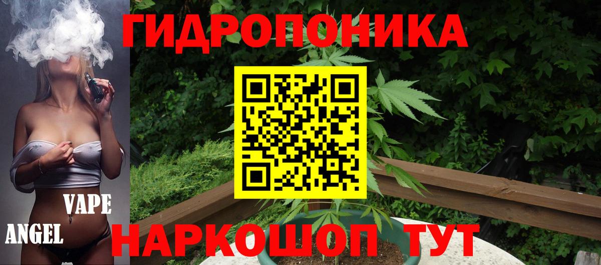 Каннабис индика  Конопля план  Бошки Шишки сатива  Урус-Мартан  Вход с VPN 